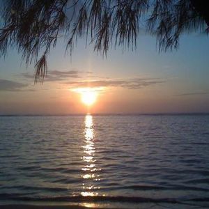 Meet your Posher, Glenn